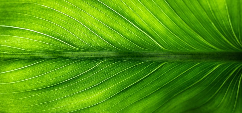 Eco-friendly accents